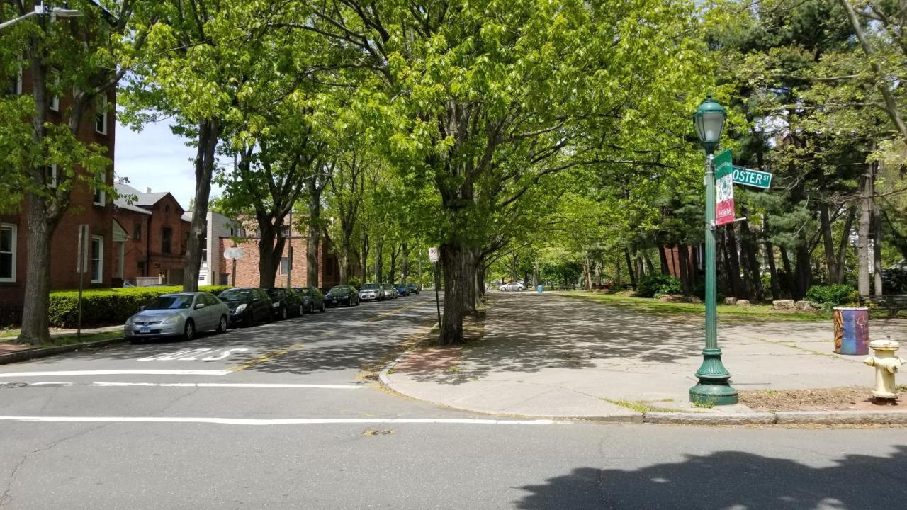 Lovely 2Br Apartment By Wooster Square- Great Neighborhood New Haven Eksteriør billede